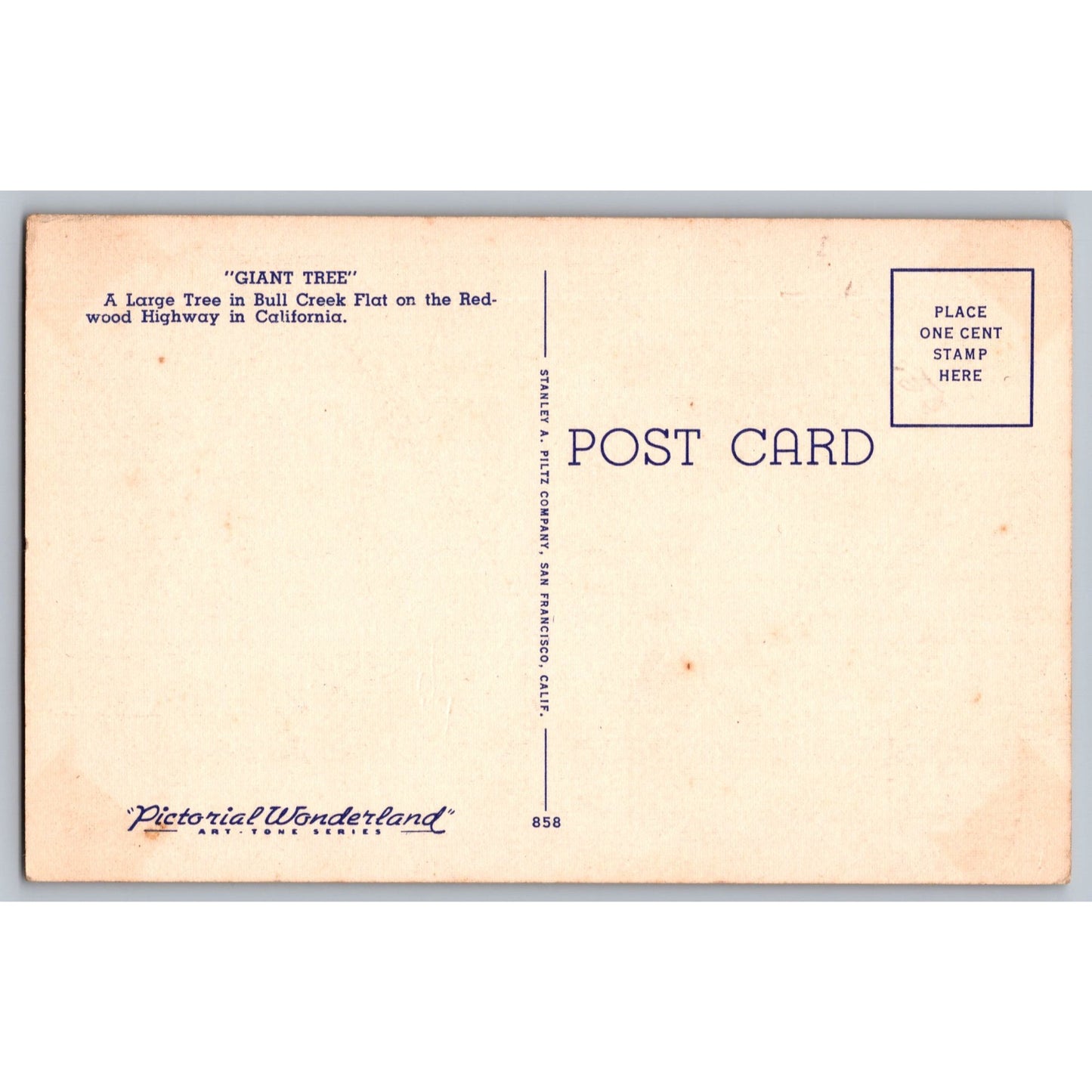 Prairie Creek CA California Redwood Highway Giant Tree Linen Postcard Unused