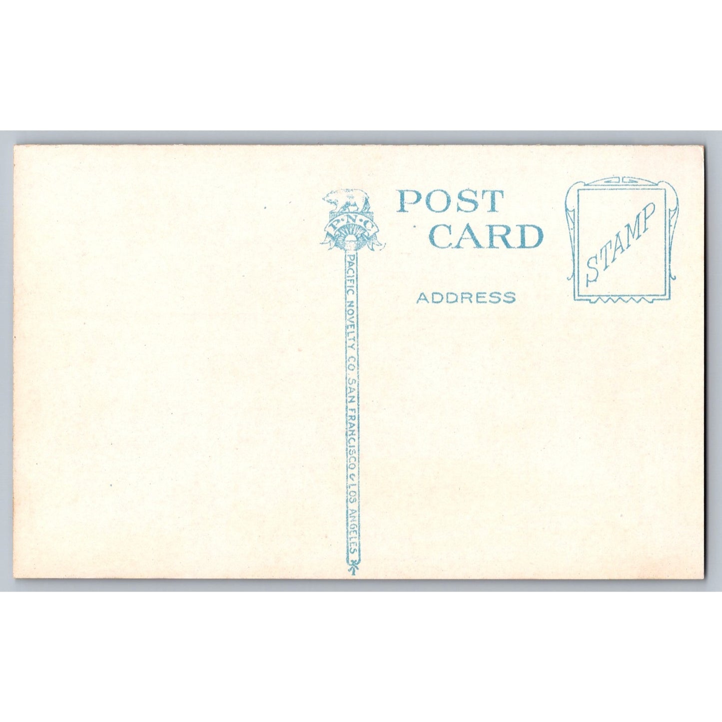 Seattle WA Washington Bird's-Eye View Capitol Hill Divided Back Postcard PNC