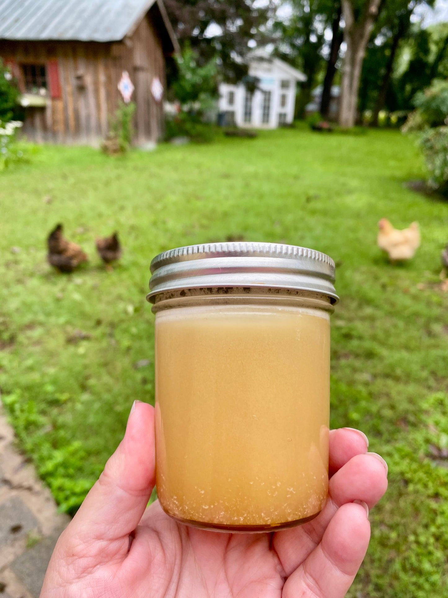 Honey Creamed or Spun 6 oz Jars