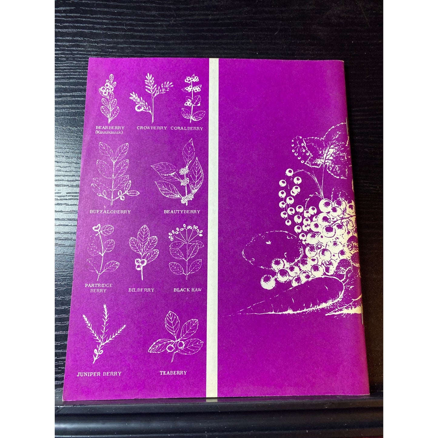 Winemakers Recipe Handbook 1976 Cookbook Booklet Raymond Massaccesi