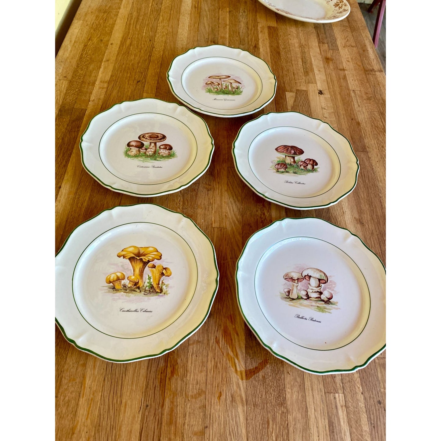 Mushroom-Themed Ceramic Plates With Scalloped Edges & Green Trim Faiencerie de Saint Amand France Set of 5