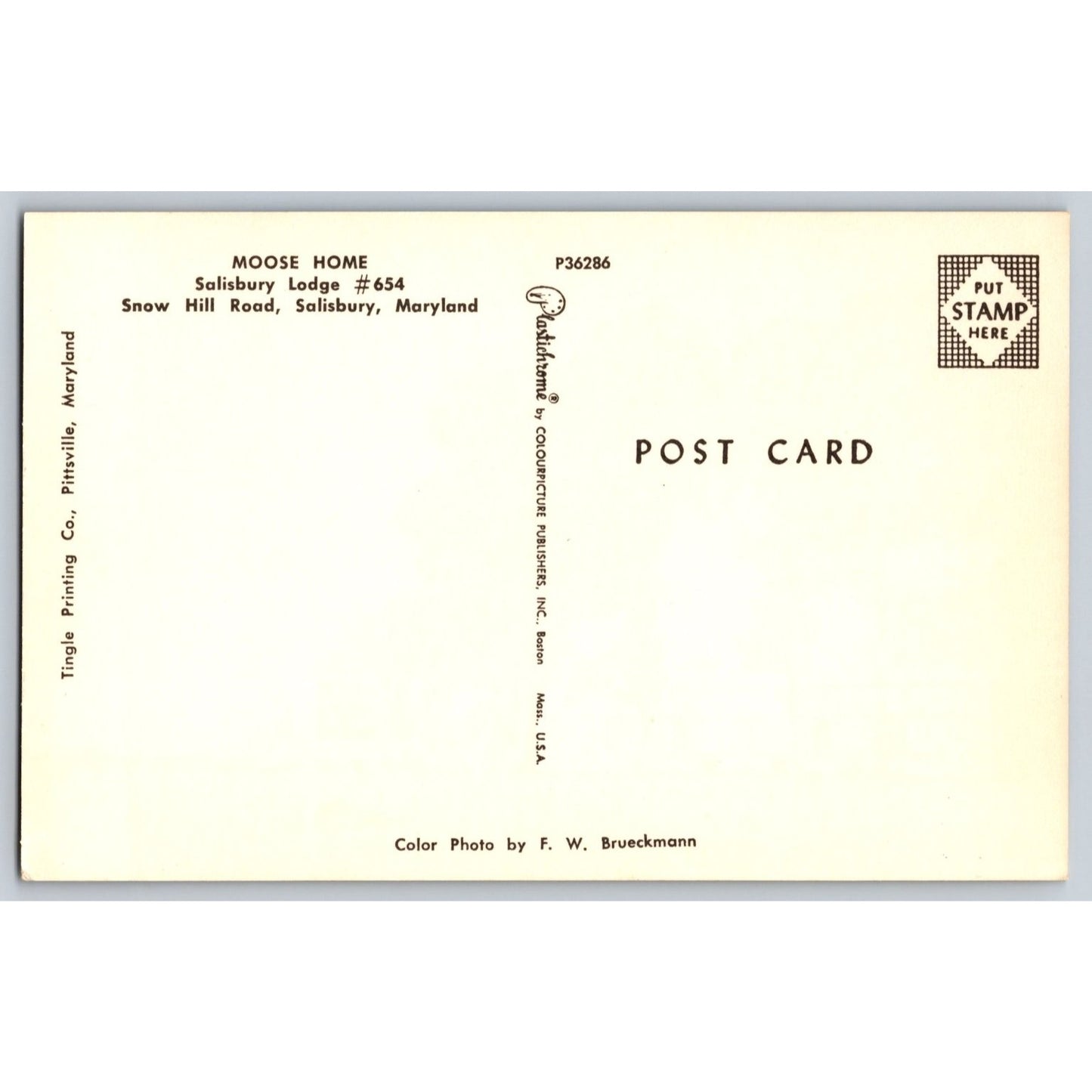 Salisbury MD Maryland Moose Home Lodge No 654 Snow Hill Chrome Postcard