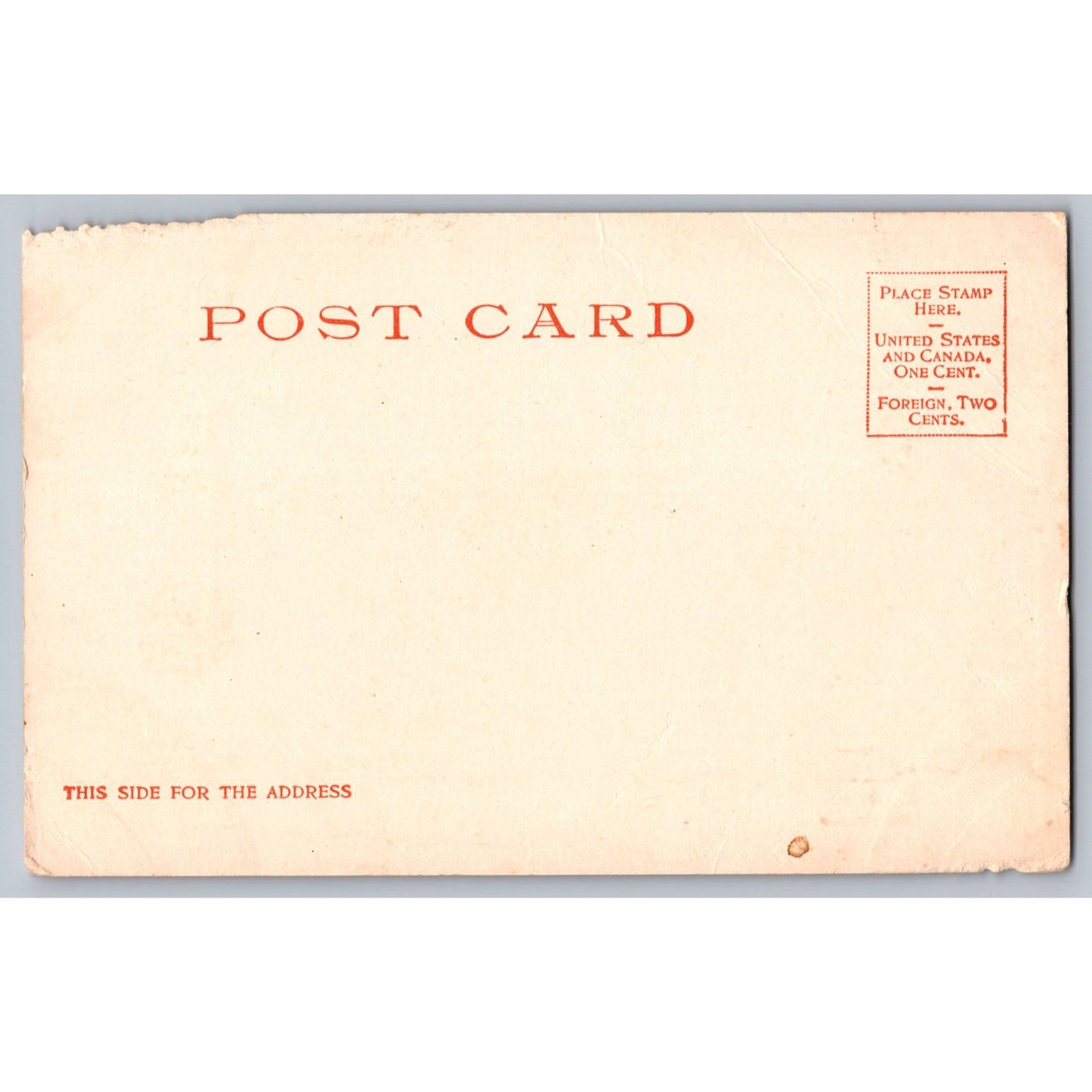 DC Washington Willard Hotel Undivided Back Postcard Detroit Photographic Co 1905