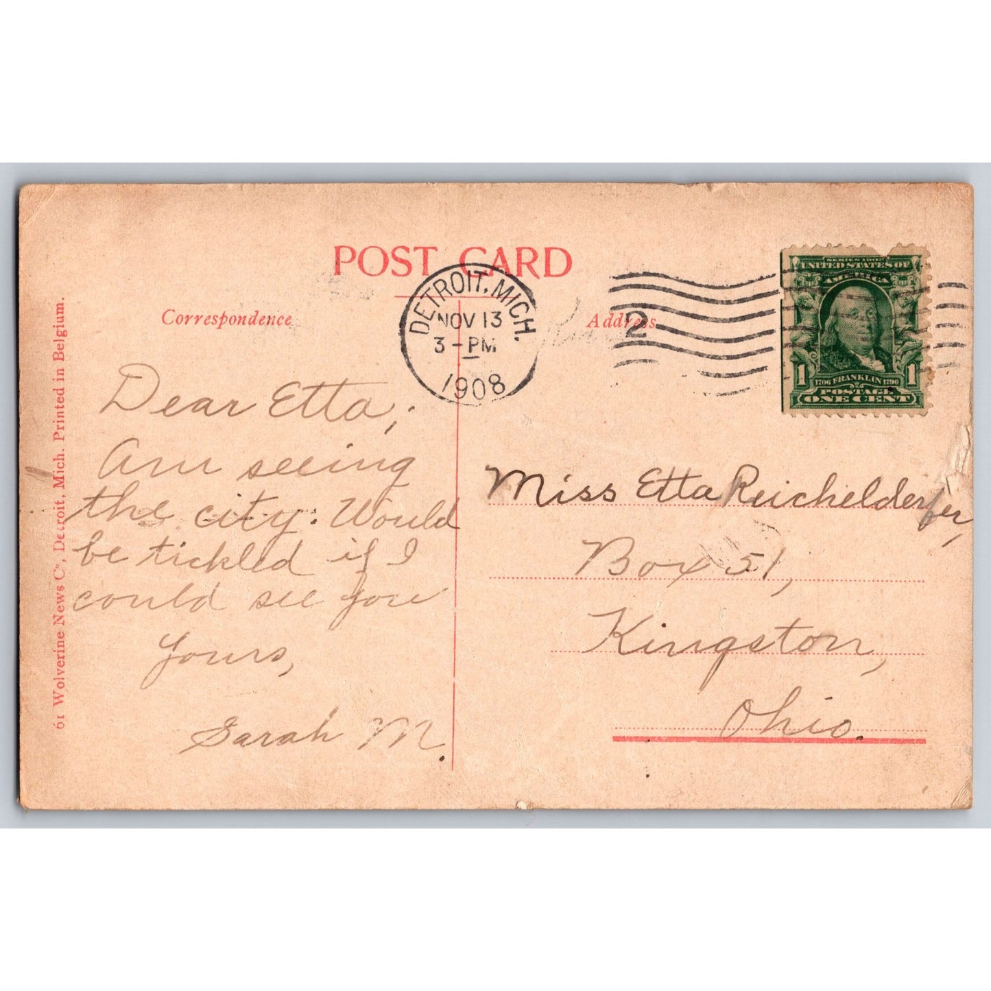 Detroit MI Michigan Ostrich At Belle Isle Postcard 1908 Printed In Belgium