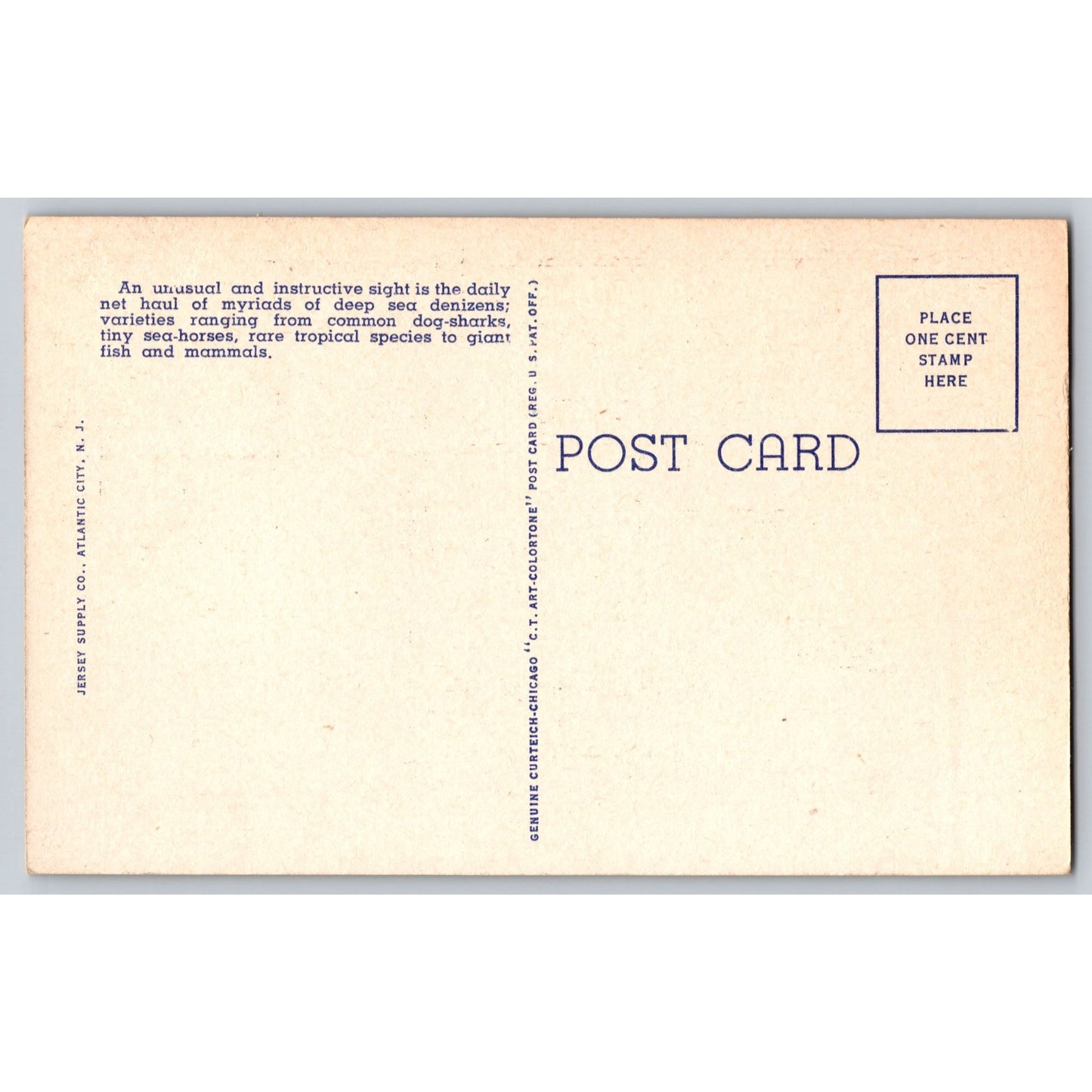 Atlantic City NJ New Jersey Deep Sea Net Haul Million Dollar Pier Linen Postcard