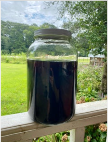 Extract Vanilla Madagascar Beans with Vodka