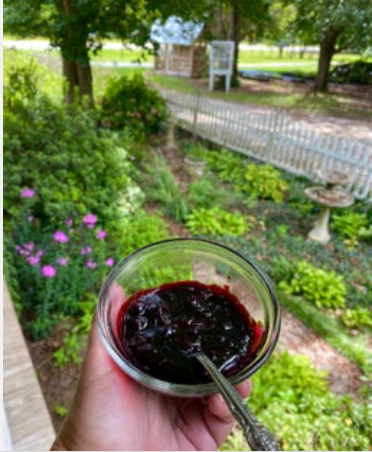 Syrup Blueberry Compote 8 oz