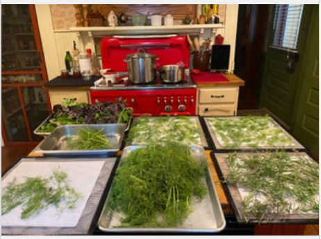 House Seasoning - Herbed Salt 2 oz