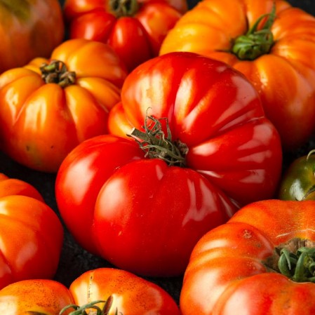 Seeds Tomato Red Brandywine Indeterminate Open Pollinated Heirloom 50 Seeds