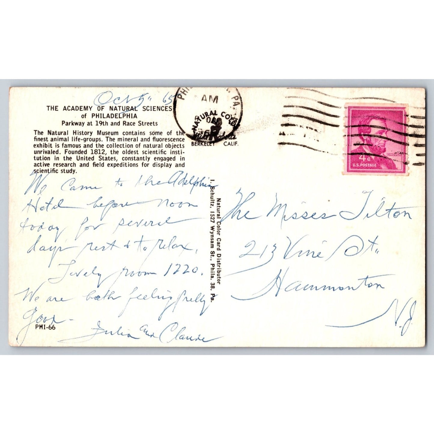 Philadelphia PA Pennsylvania Academy of Natural Sciences 1965 Chrome Postcard