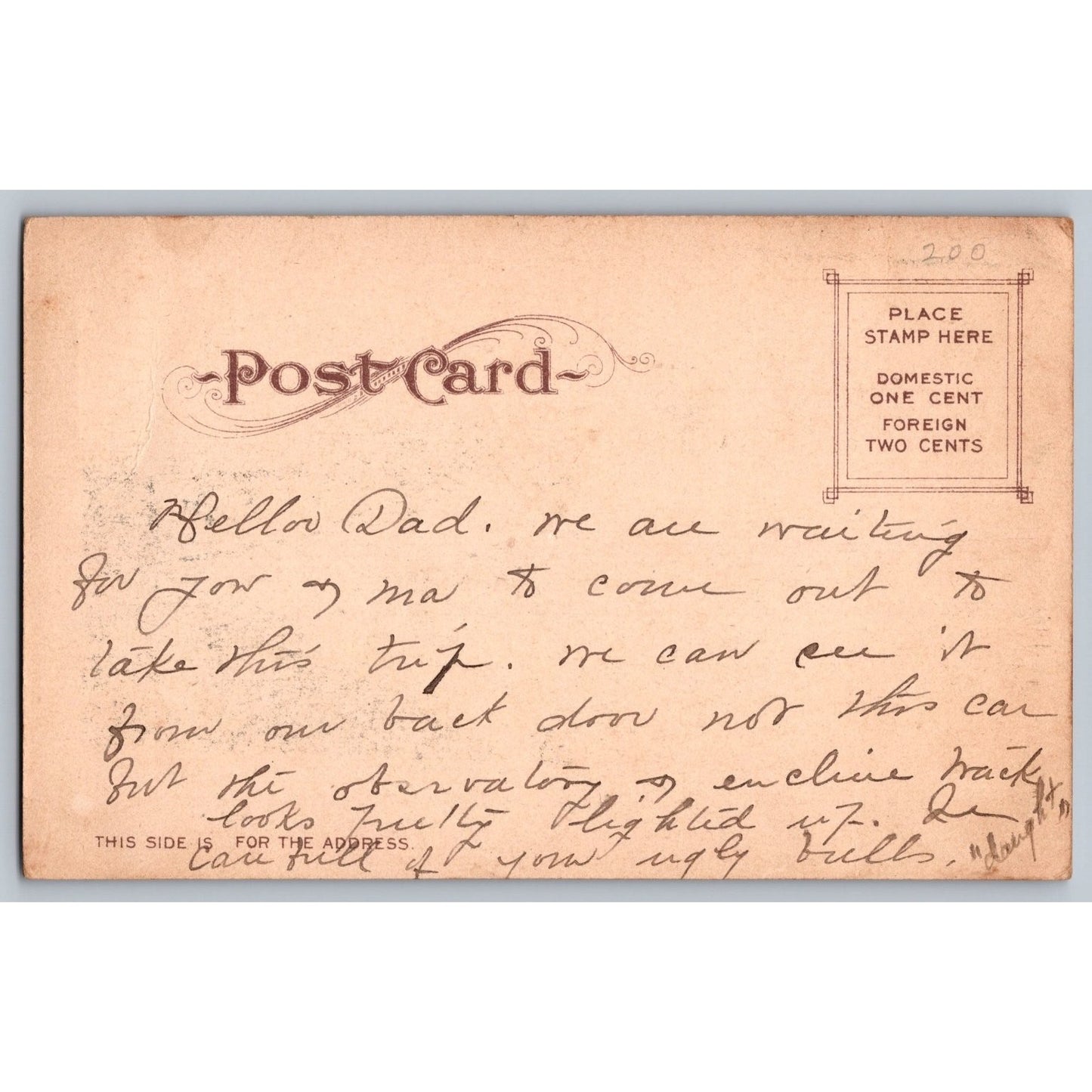Mt Lowe CA California Circular Bridge Pacific Electric Railway Early Postcard