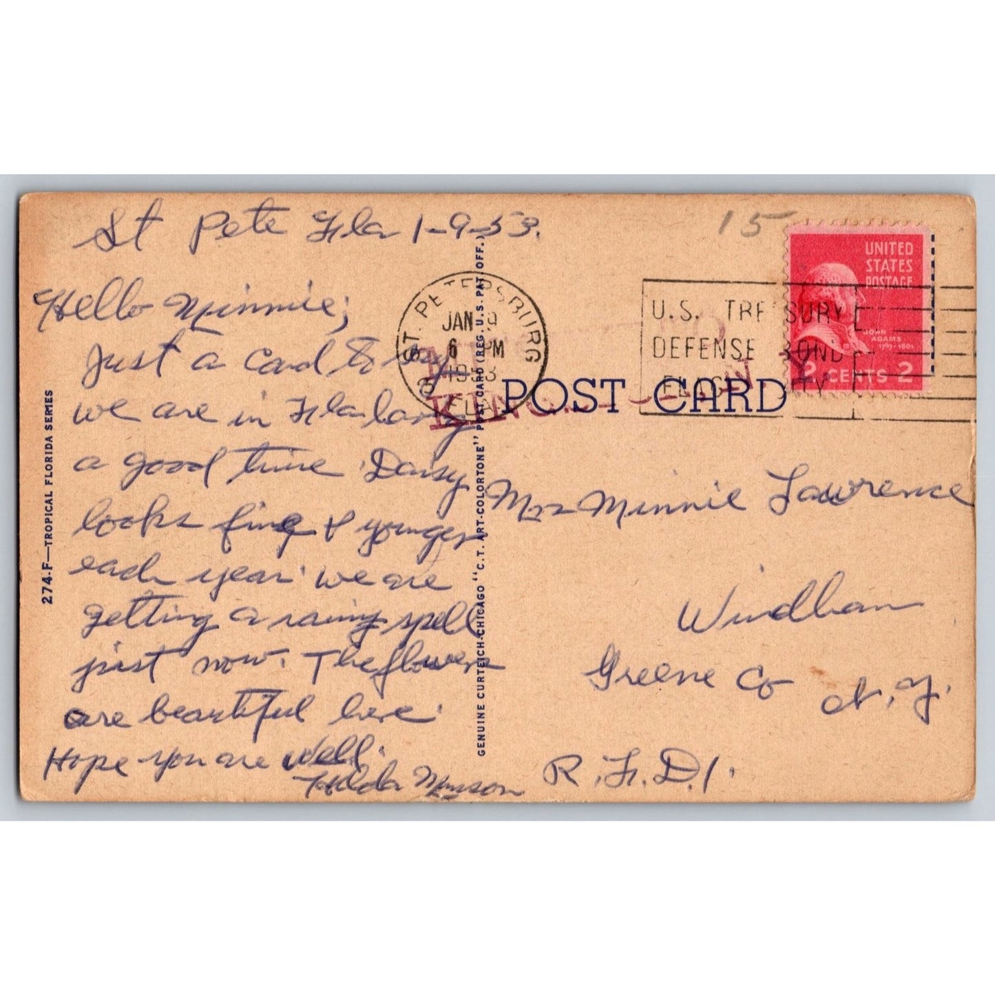 Indian River FL Florida Tropical Florida Series 1953 Linen Postcard Used