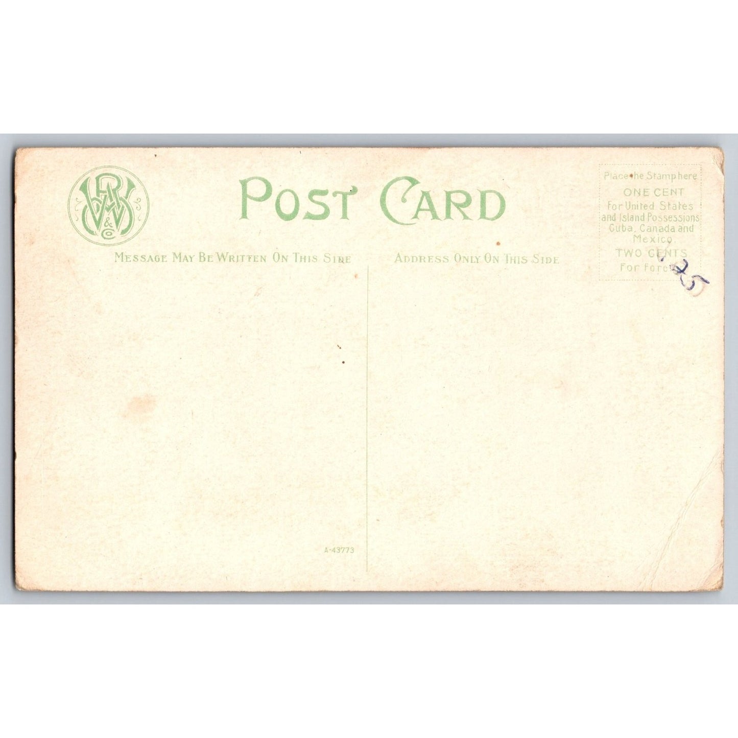 Binghamton NY New York New High School Early 1900s Undivided Postcard W & Co