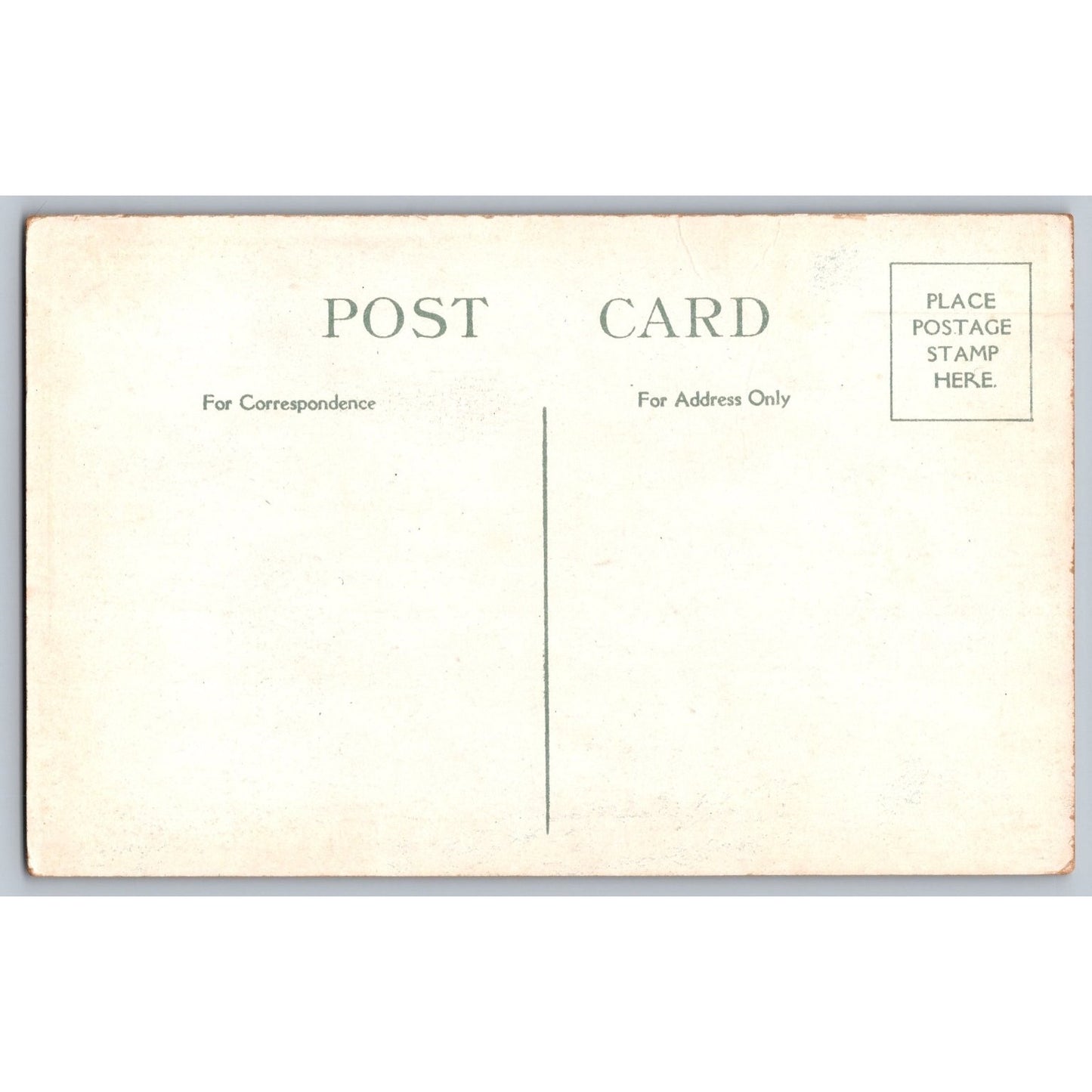 New York City NY Hotel Pennsylvania Early 1900s White Border Postcard Unused