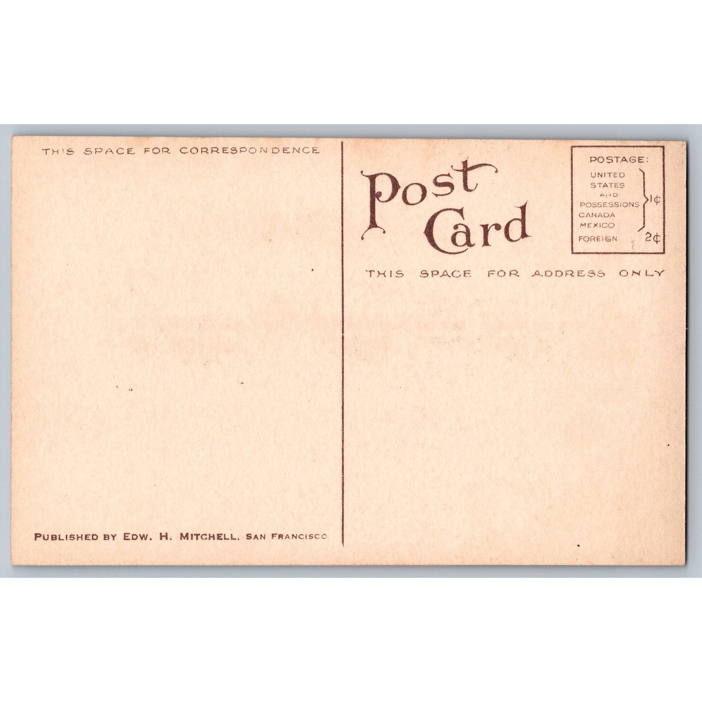 Seattle WA Washington Gunther's Observation Tree Postcard Lake Burian Postcard