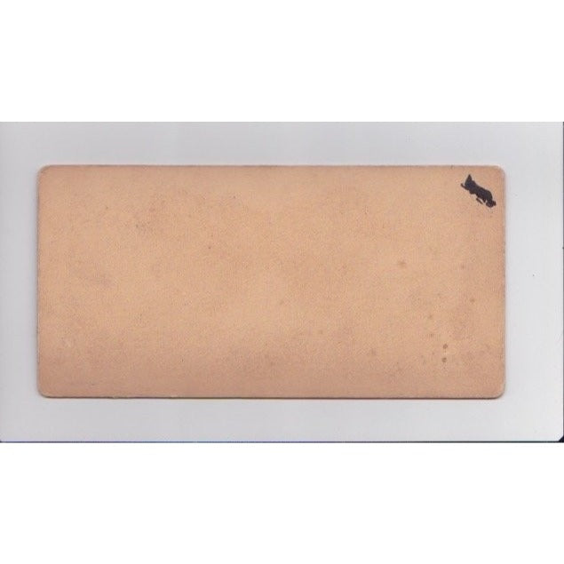 Circumstantial Evidence Stereoview Littleton View Co 1891 New York
