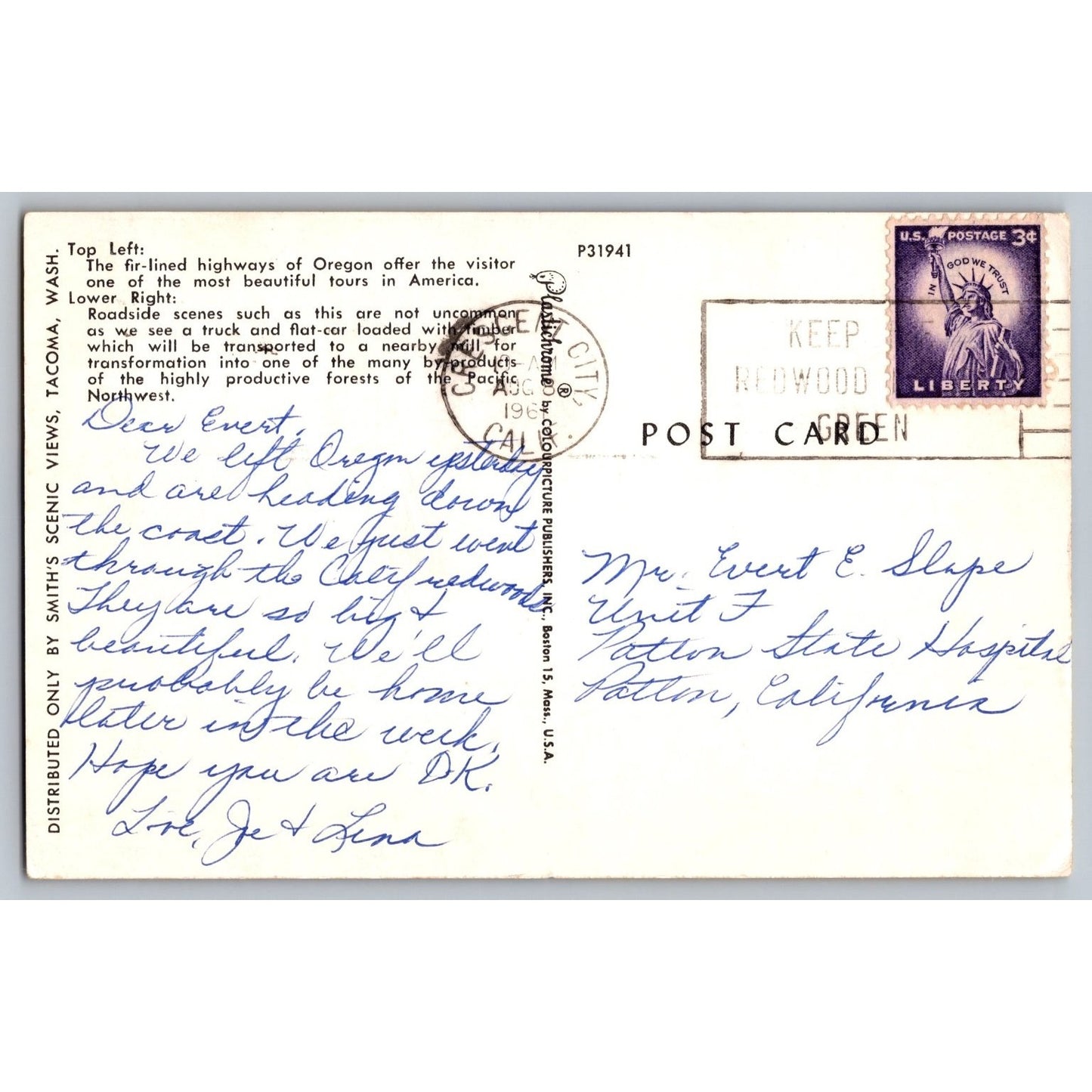 Oregon OR Postcard Mighty Logs & Verdant Green Forests Scenic View Used