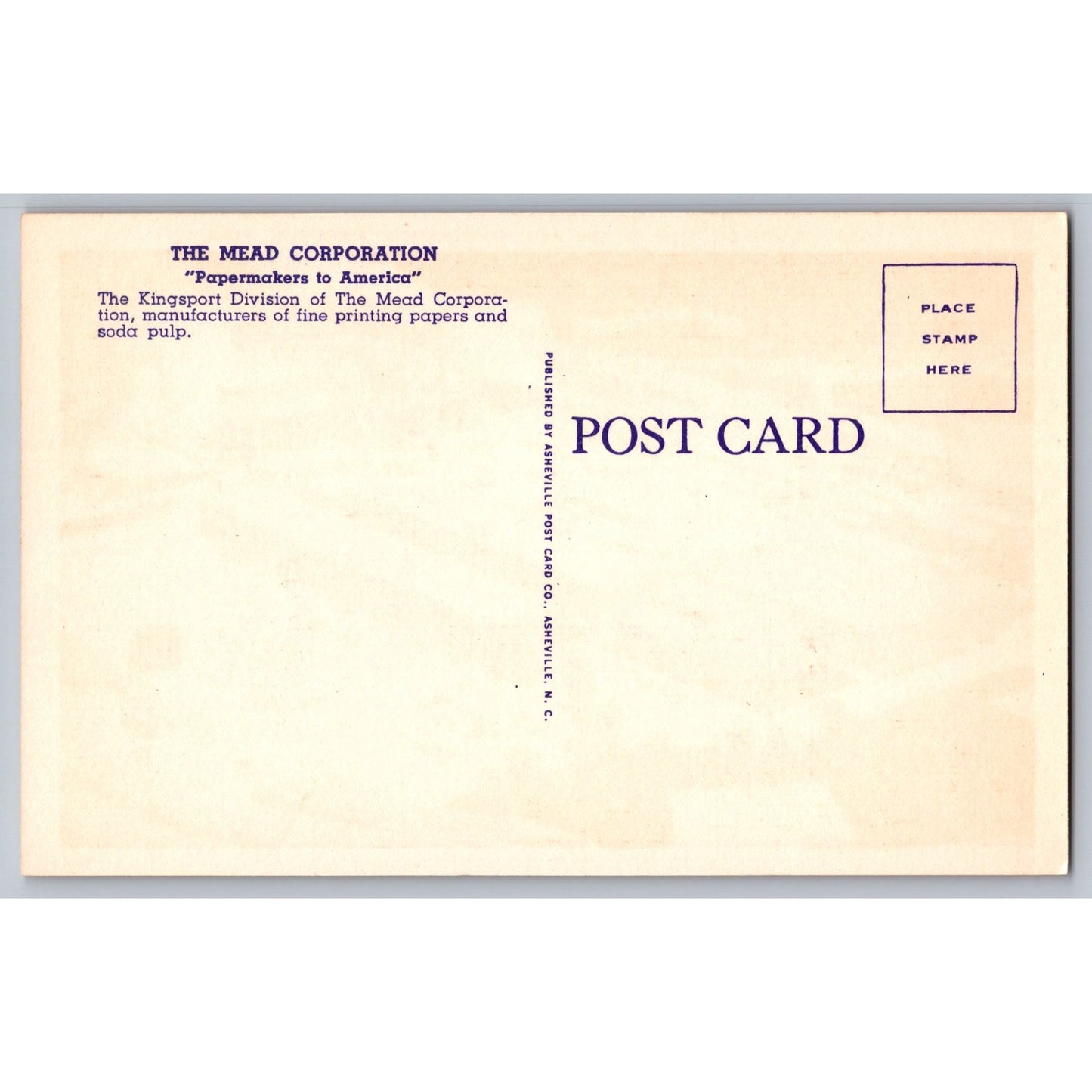 Kingsport TN Tennessee Mead Corporation Bird's-Eye View Aerial Postcard