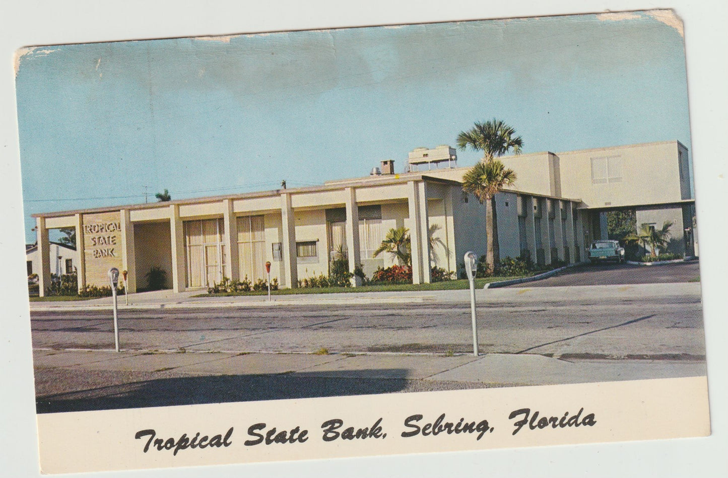 Postcard FL Florida Sebring Tropical State Bank Chrome Unused