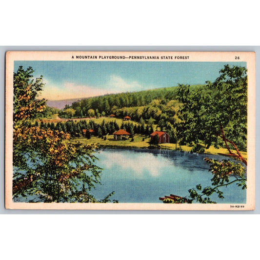 Pennsylvania PA State Forest Mountain Playground Linen Postcard