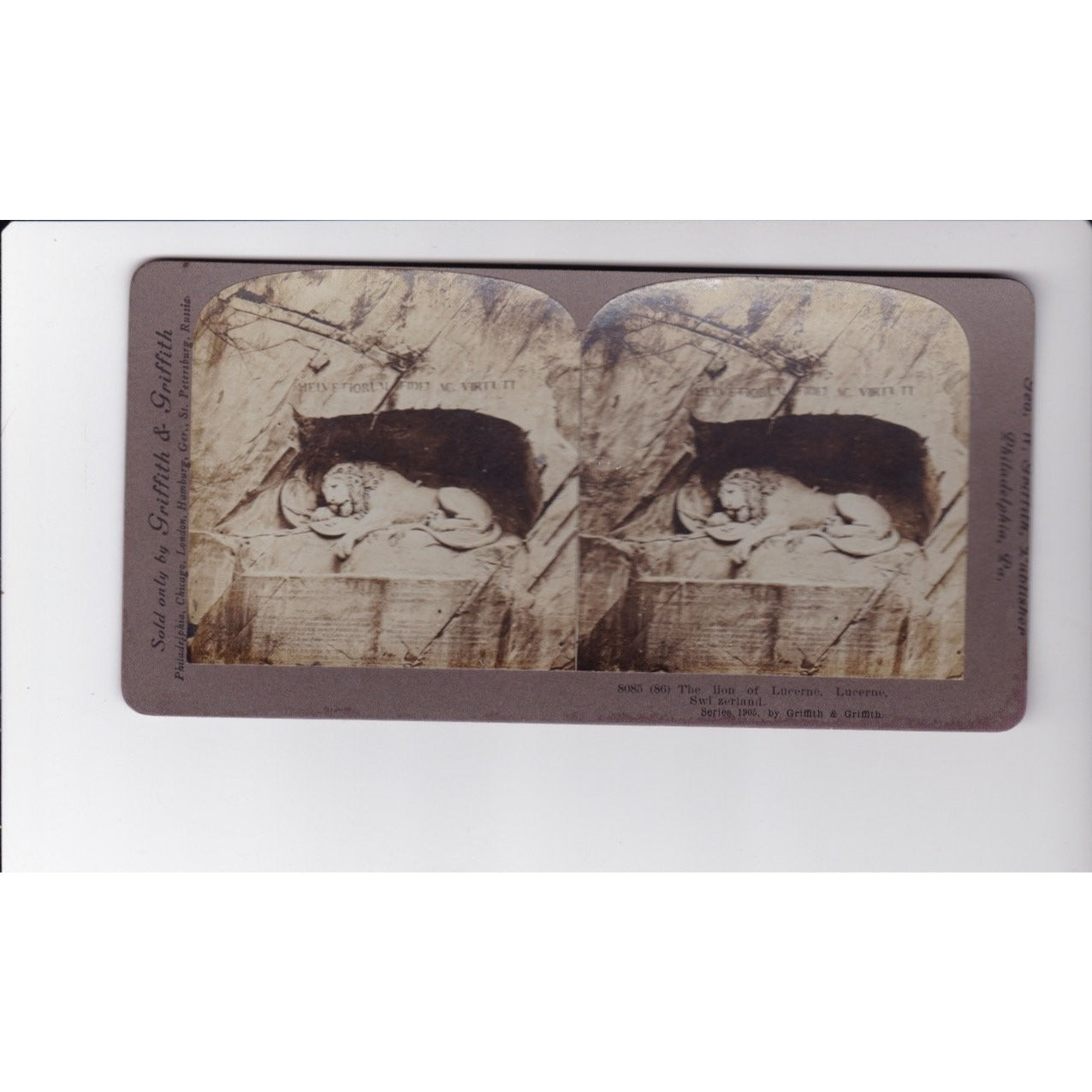 The Lion of Lucerne Switzerland Stereoview Griffith & Griffith 1905