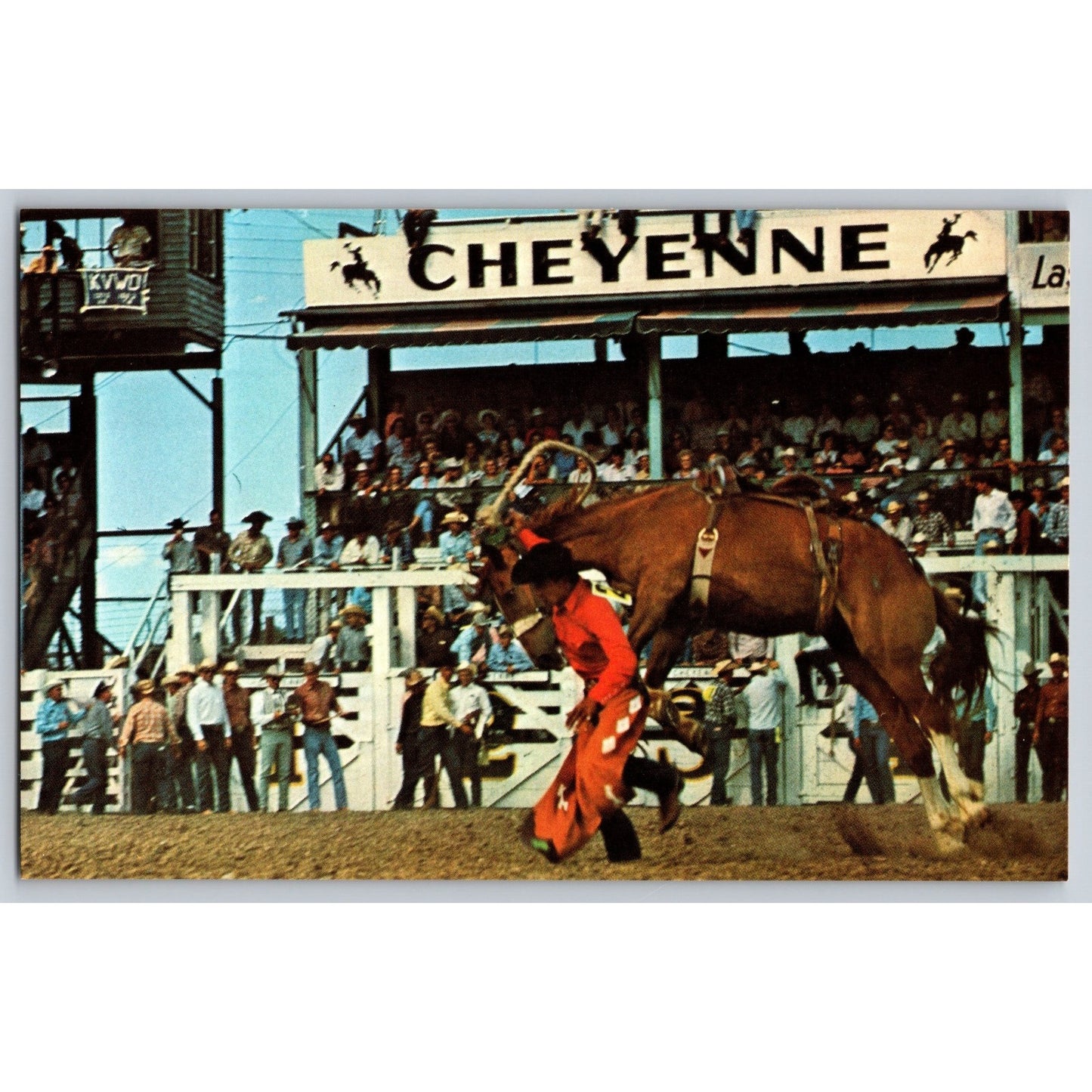 Cheyenne WY Wyoming Frontier Days Rodeo Travel Commission Chrome Postcard