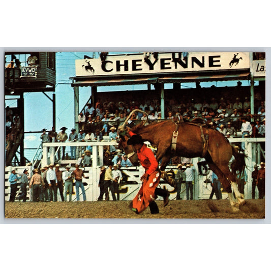 Cheyenne WY Wyoming Frontier Days Rodeo Travel Commission Chrome Postcard