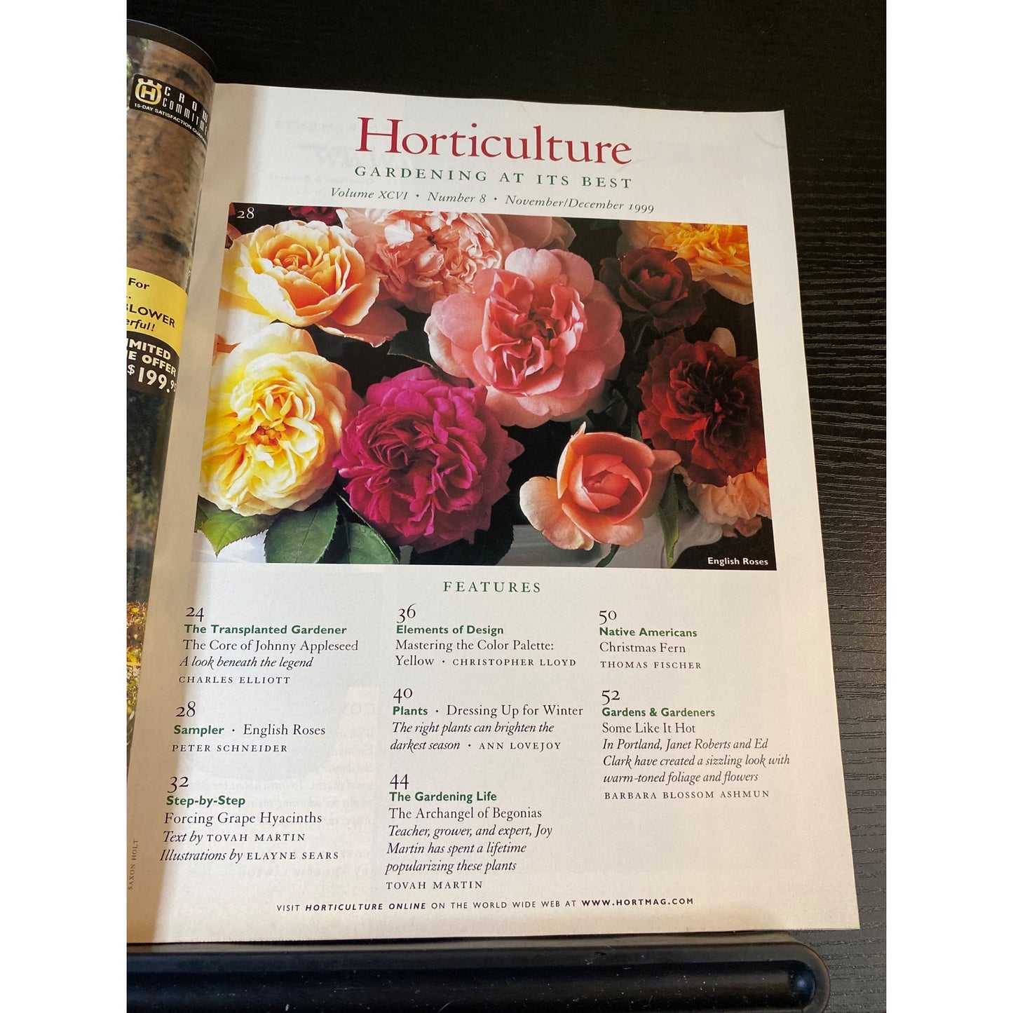 Horticulture November/December 1999 Gardening Magazine Volume XCVI Issue 8