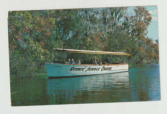 Postcard FL Florida Silver Springs Glass Bottom Boats Chrome Unused