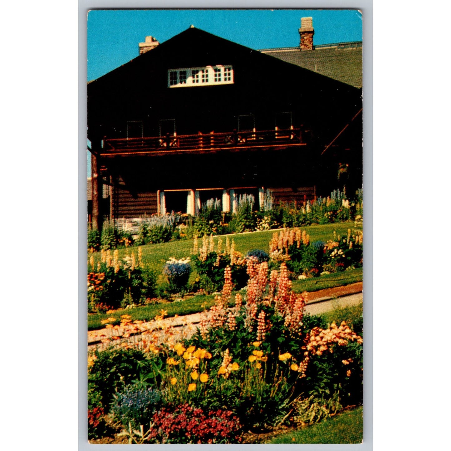 MT Montana East Glacier Park Lodge Chrome Postcard Flowers & Lodge Scene