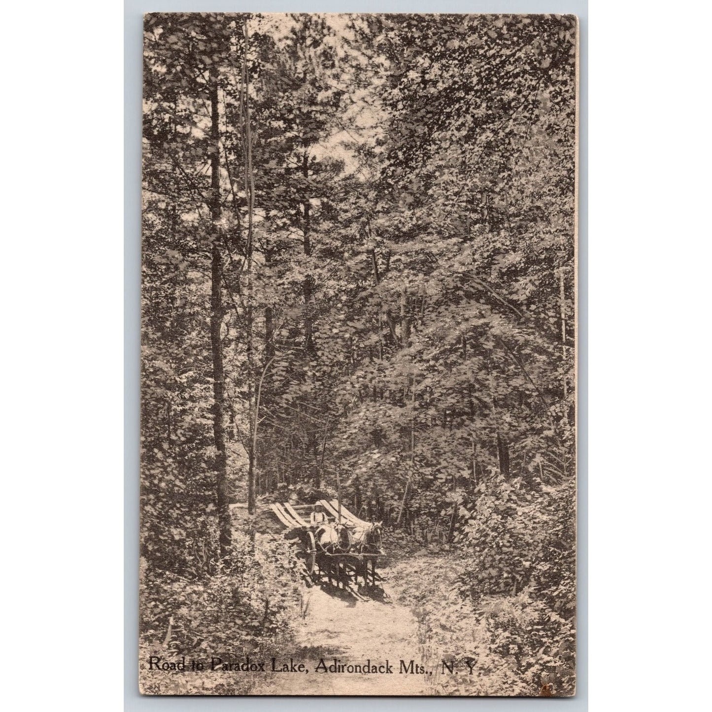 Adirondack Mountains NY Road to Paradox Lake 1911 Divided Back Postcard Used