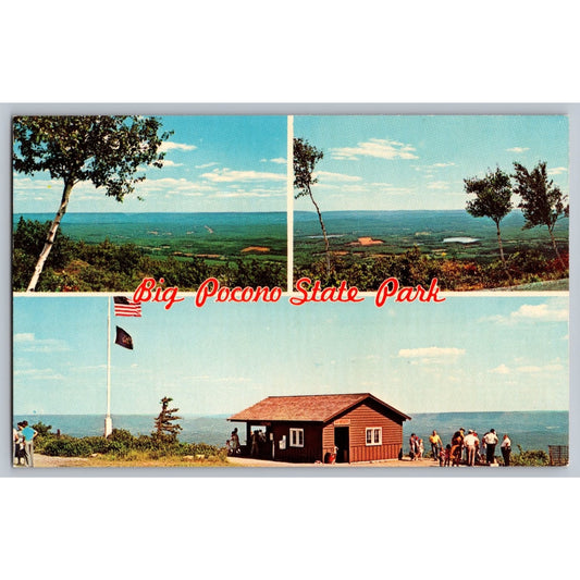 Tannersville PA Pennsylvania Big Pocono State Park Camelback Mountain PA Postcard