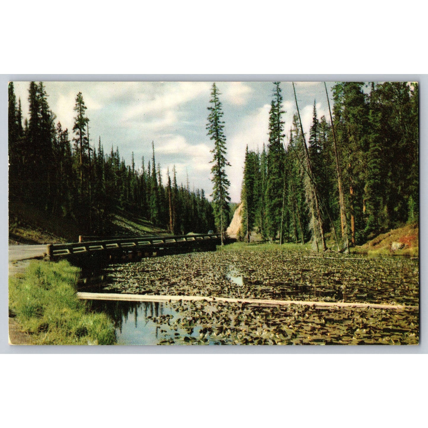 Isa Lake Craig Pass WY Wyoming Yellowstone National Park Postcard Haynes Studios