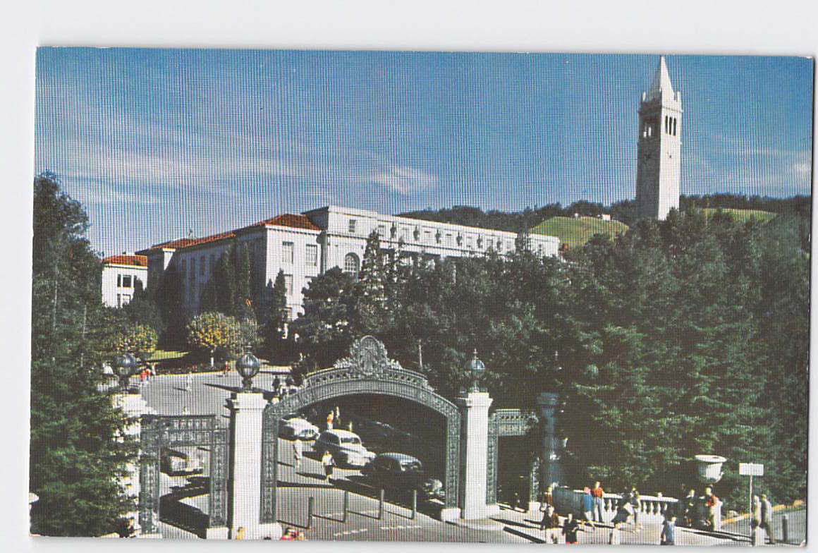 Postcard CA California Berkeley University of California Sather Gate Chrome Unused