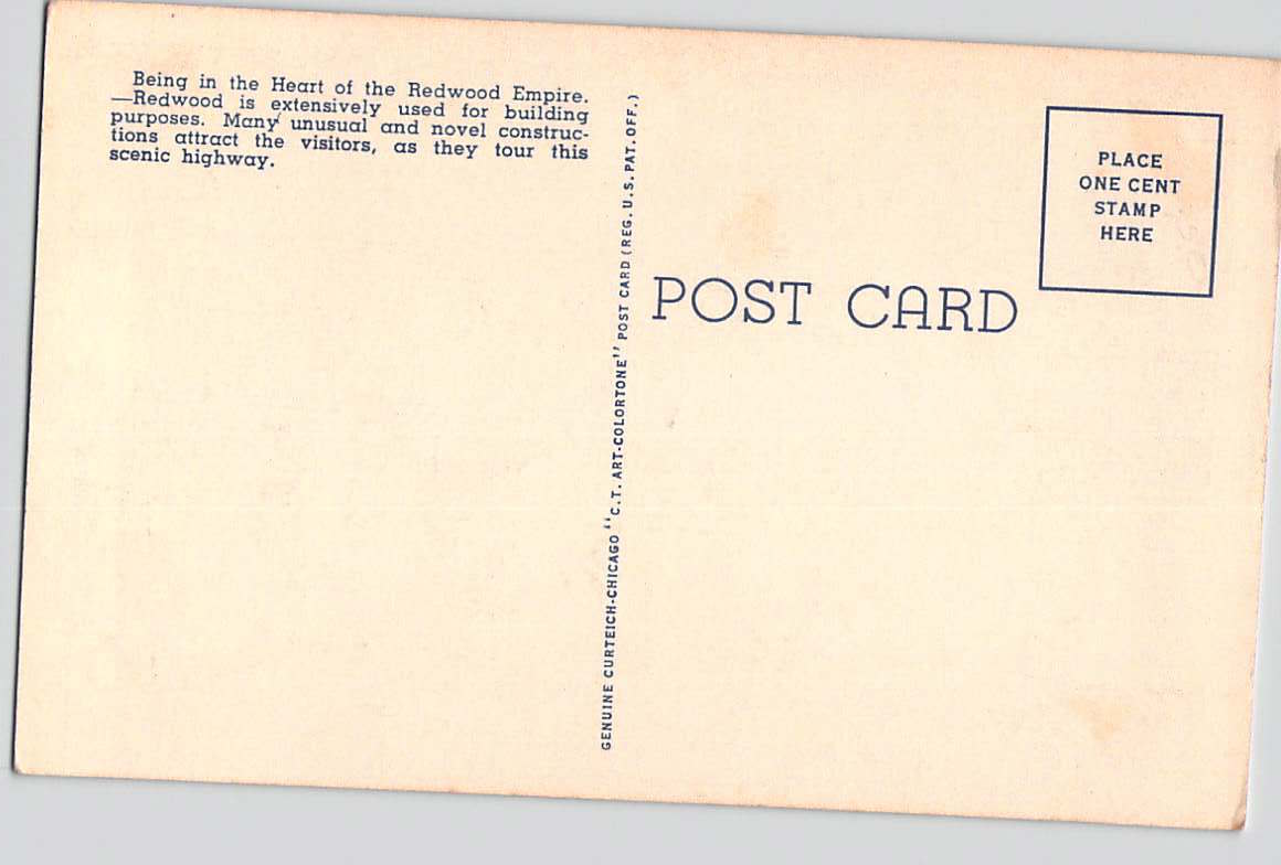 Postcard CA California Redwood Highway End of the Trail Restroom Yellow Border Linen