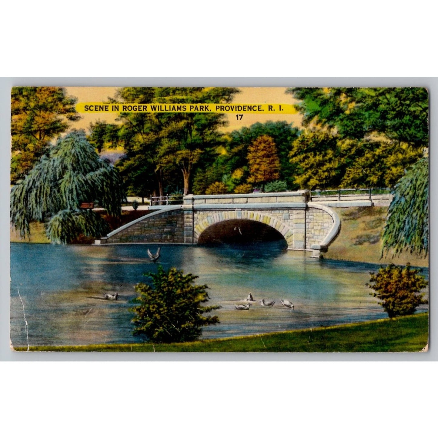 Providence RI Rhode Island Roger Williams Park Bridge Linen Postcard 1940s