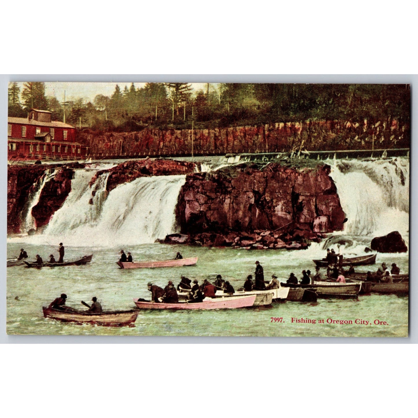 Oregon City OR Oregon Fishing Divided Back Postcard Unused