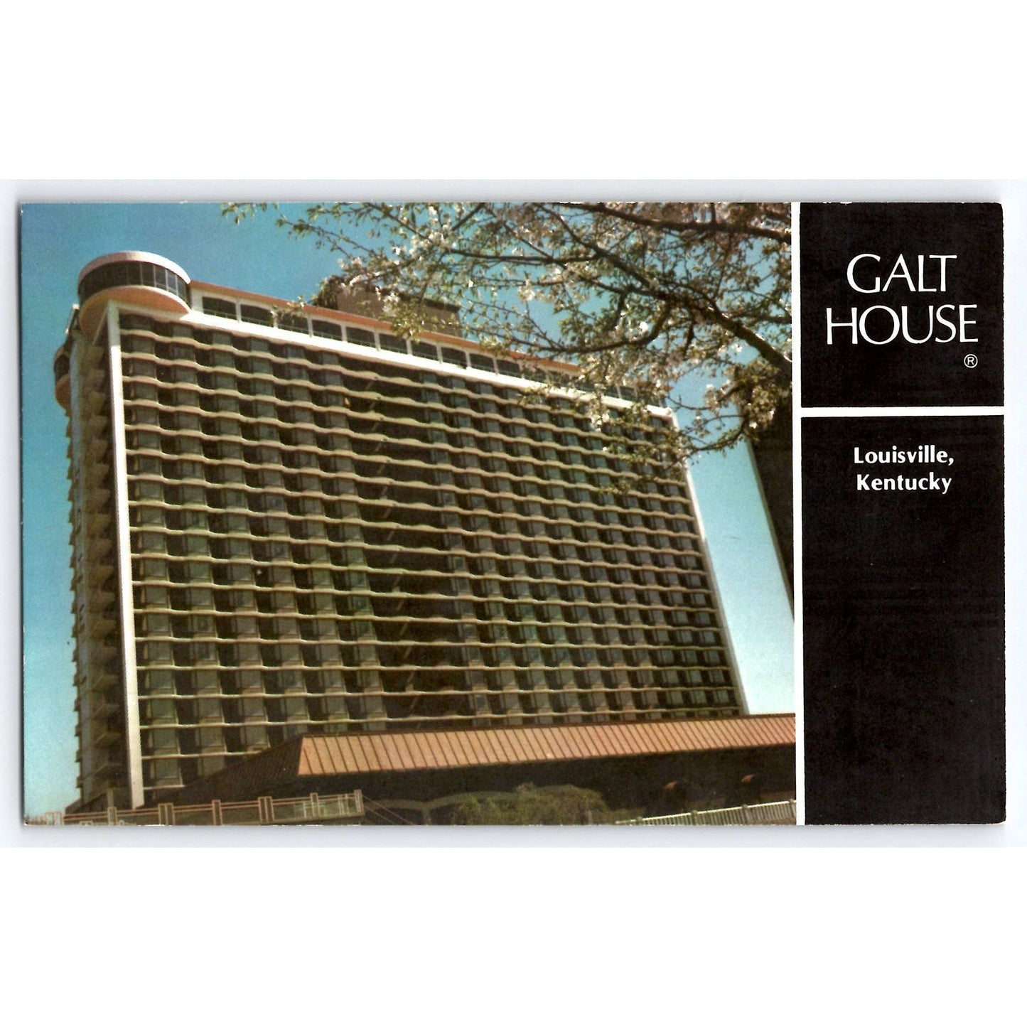 Louisville KY Kentucky Galt House Hotel Chrome Postcard Unused