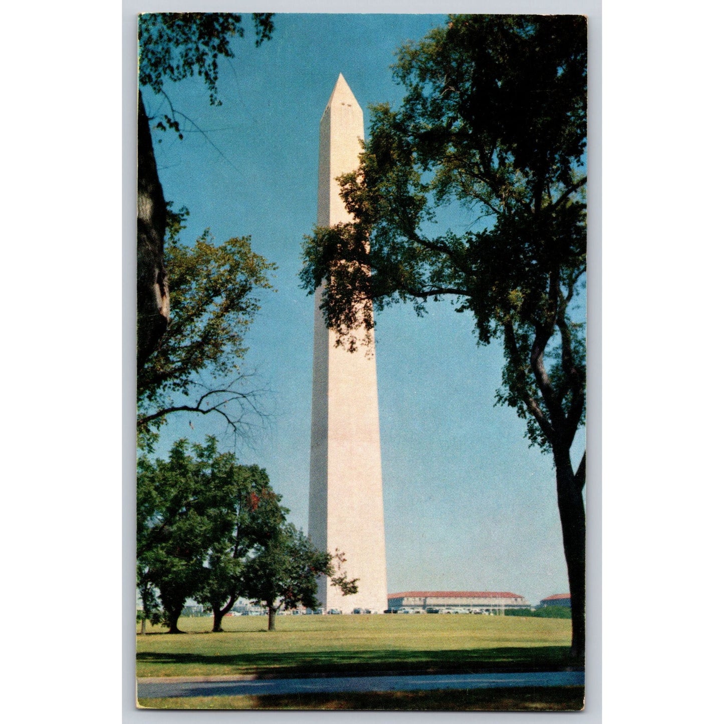 Washington DC Washington Monument Chrome Postcard Unused Prince Litho