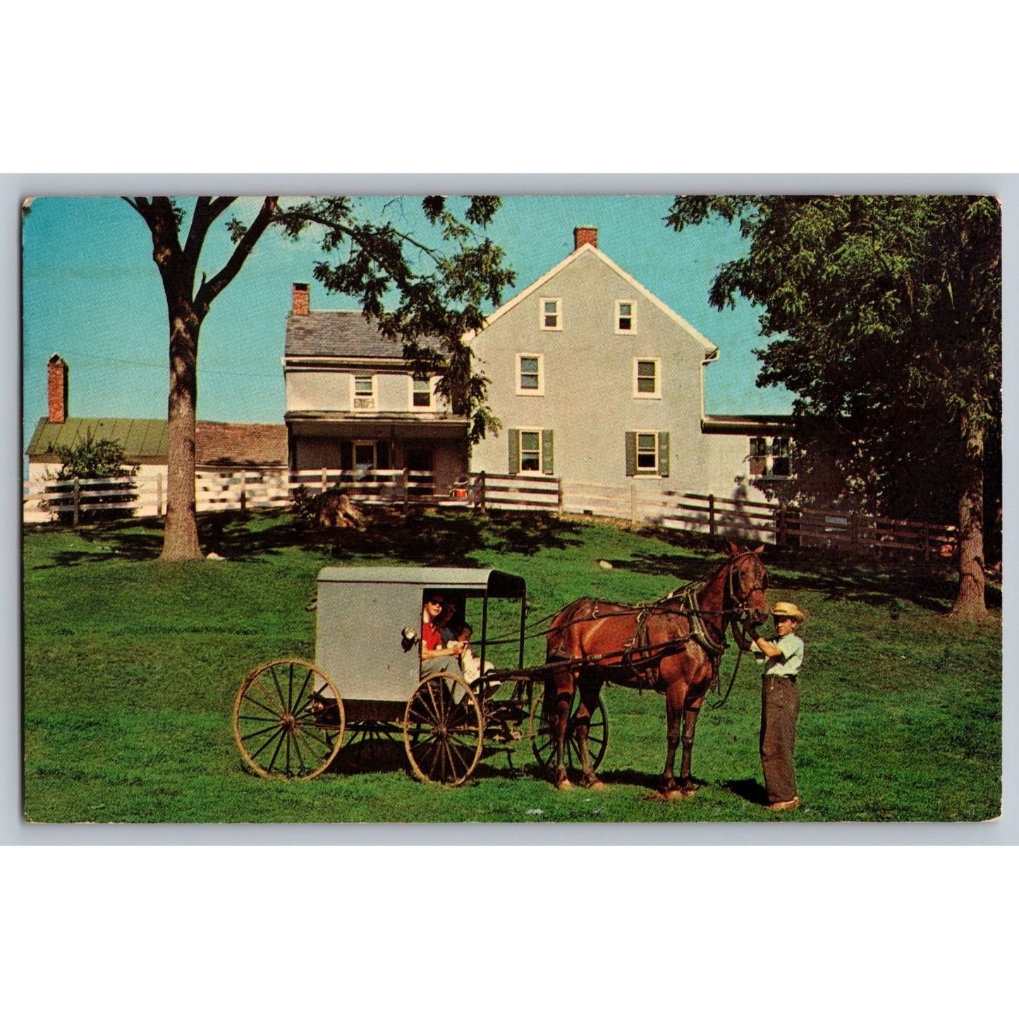 Lancaster PA Pennsylvania Amish Homestead Horse & Buggy 1966 Chrome Postcard