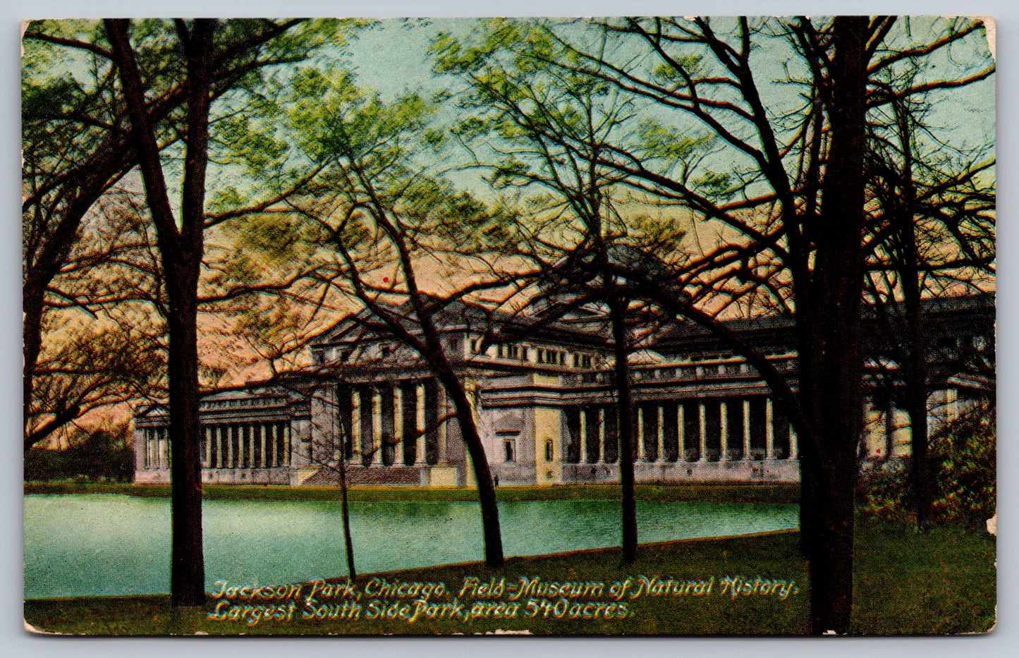 Postcard IL Illinois Chicago Field Jackson Park Museum Natural History Early 1900s Divided Used