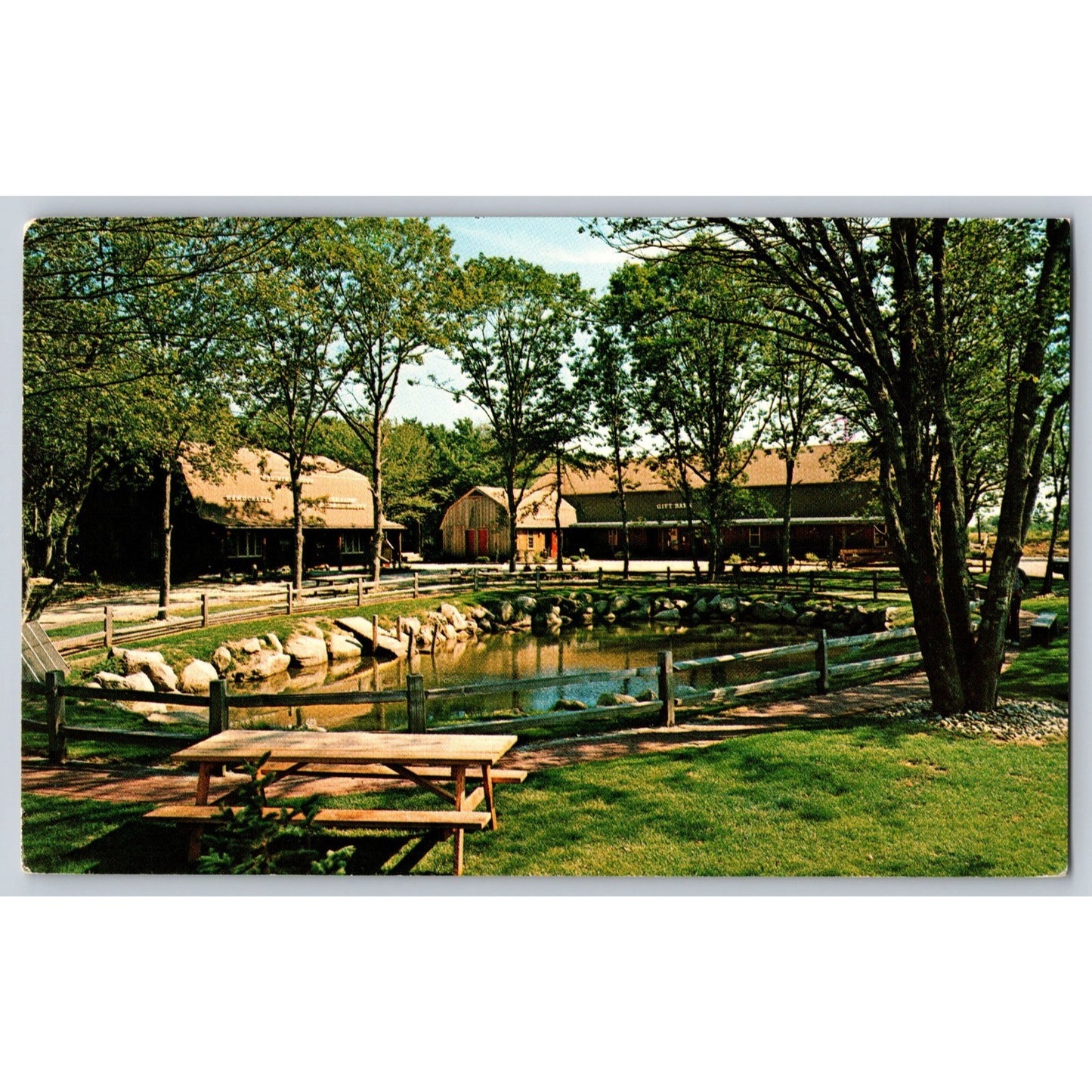 Charlestown RI Rhode Island The Girt Barn Scenic View Chrome Postcard Used