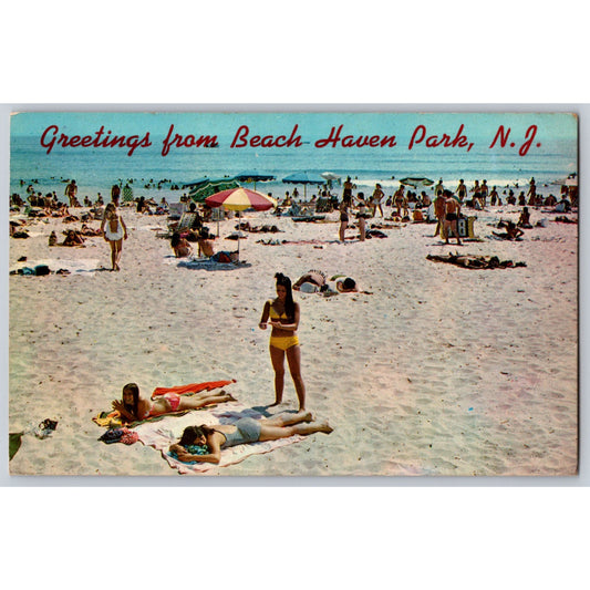 Haven Park NJ New Jersey Greetings From Chrome Postcard Unused Don Ceppi