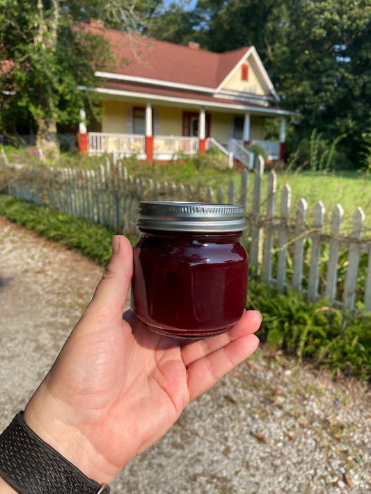 Seedless Blackberry Jam - Handcrafted Low Sugar 8 oz Jar