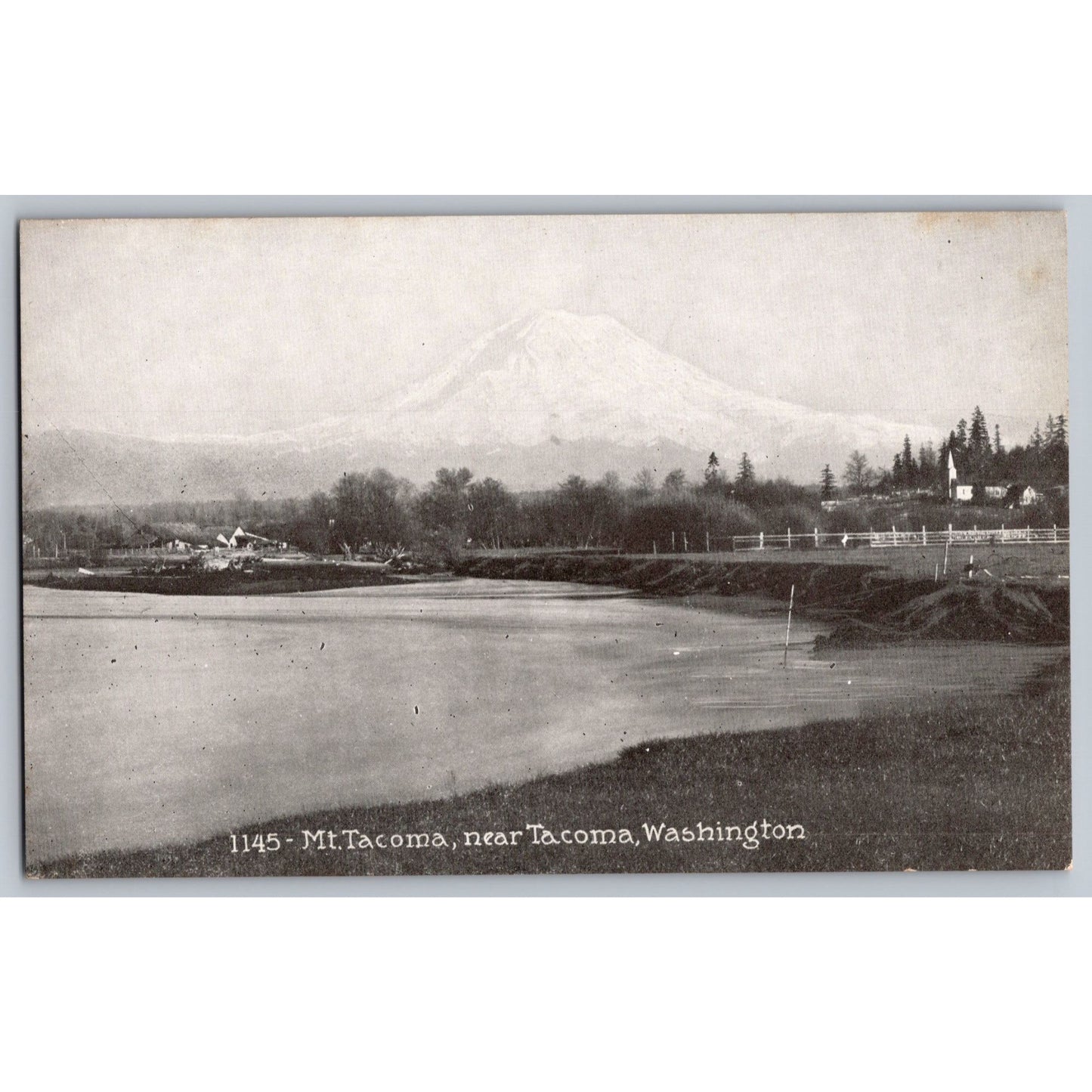 Tacoma WA Washington Mt Tacoma Early 1900s Postcard Unused Pacific Novelty Co