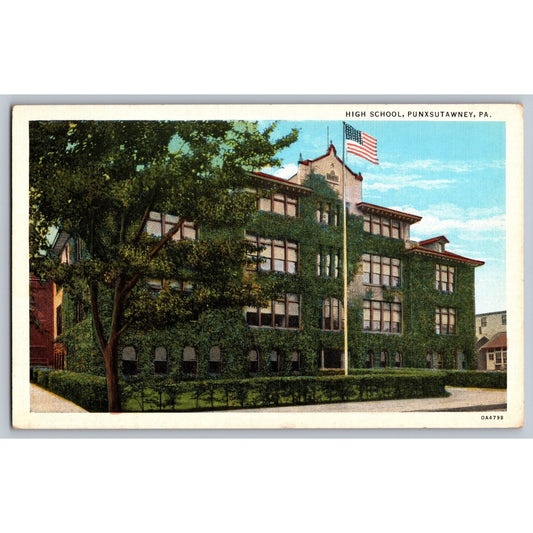 Punxsutawney PA Pennsylvania High School Ivy Covered Building Postcard