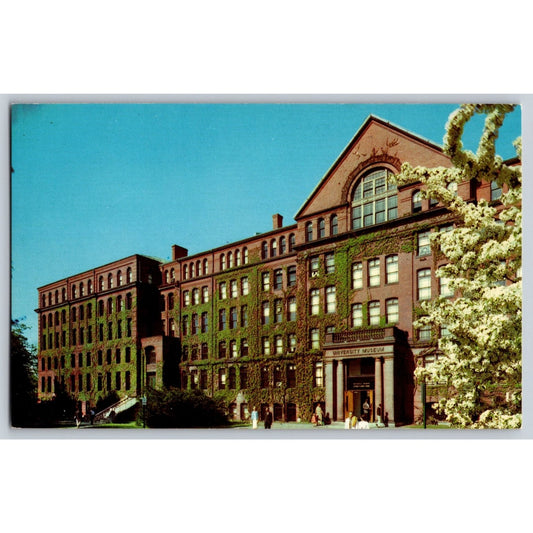Cambridge MA Massachusetts Harvard University Museum Ivy Covered Postcard