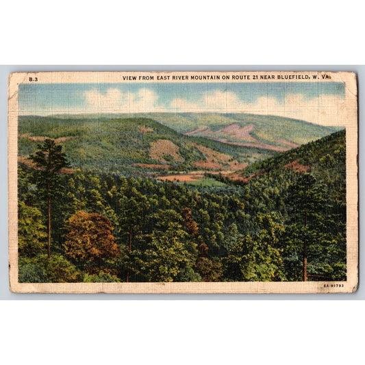 Bluefield WV West Virginia View From East River Mountain 1920s Postcard Used