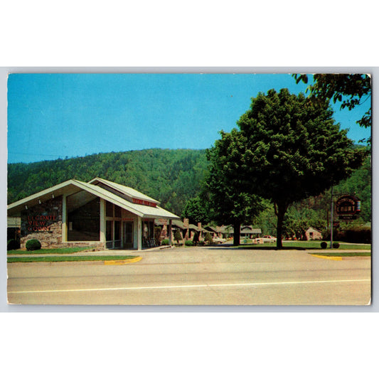 Gatlinburg TN Tennessee LeConte View Court Motel Chrome Postcard Used