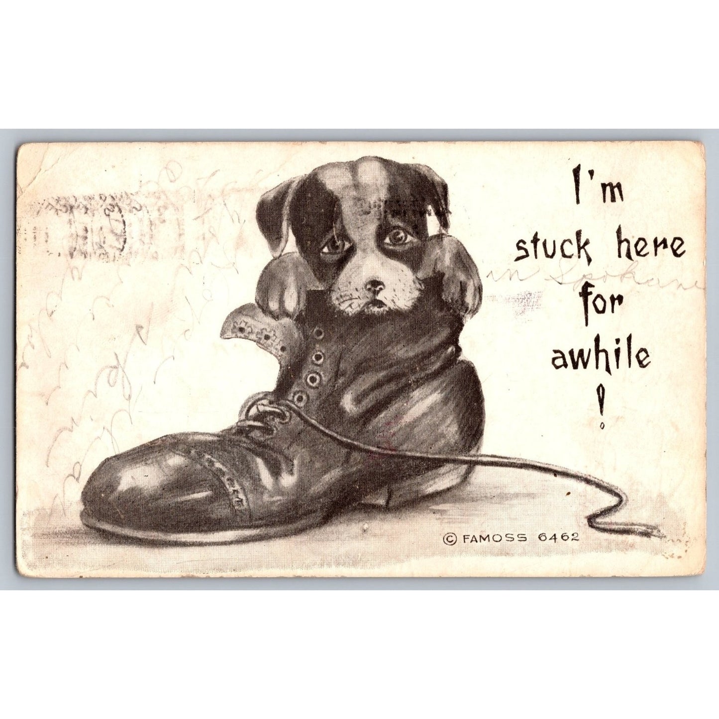Comic Postcard Humorous I'm Stuck Here Puppy in Boot 1909 Illustrated FAMOSS